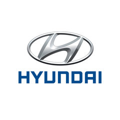 Dakdragers Hyundai Atos